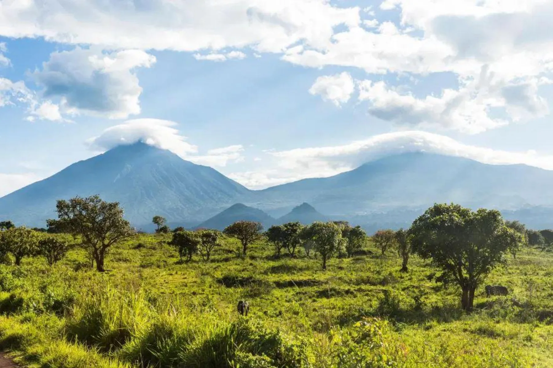 Virunga — capital naturel et économie verte